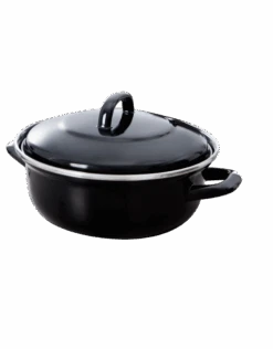 Bk Fortalit Braadpan 22cm 2lt