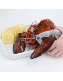 Westmark Kreeftentang Met Pincet -Huishoudmiddelen Verkoop westmark westmark kreeftentang met pincet 1